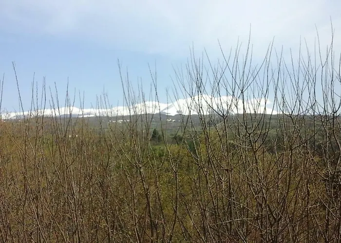 La Cisterna Di Bed and Breakfast